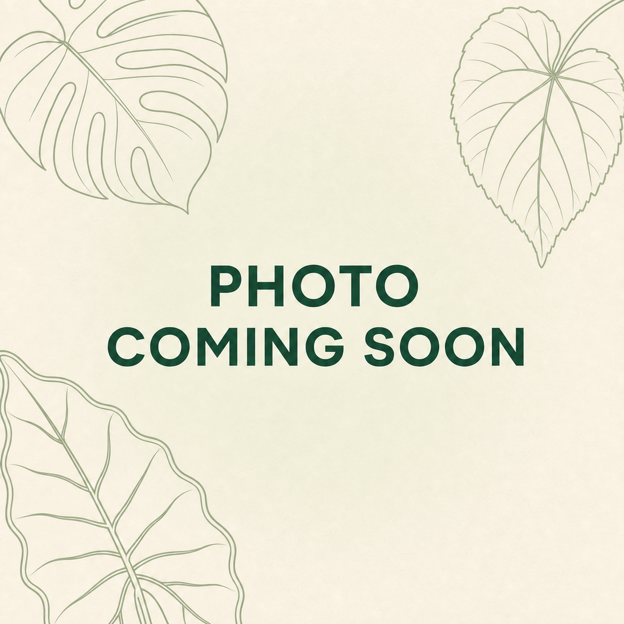 PlantHero